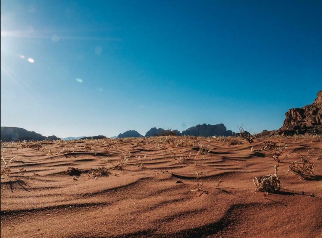 Wadi Rum Moon Camp Exteriör bild