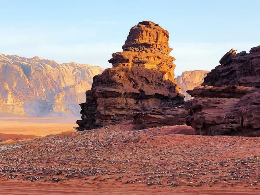 Wadi Rum Moon Camp Exteriör bild