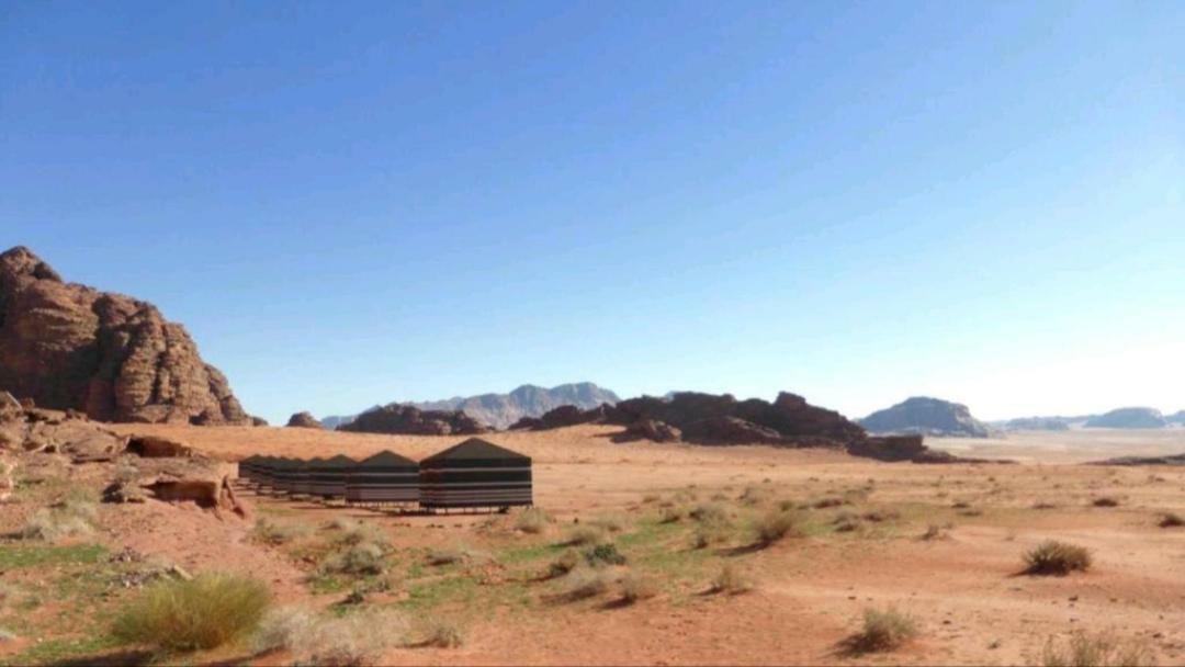 Wadi Rum Moon Camp Exteriör bild