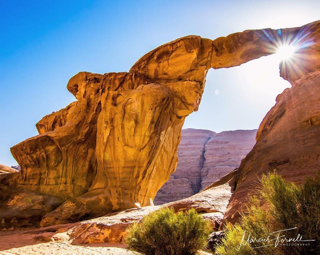 Wadi Rum Moon Camp Exteriör bild