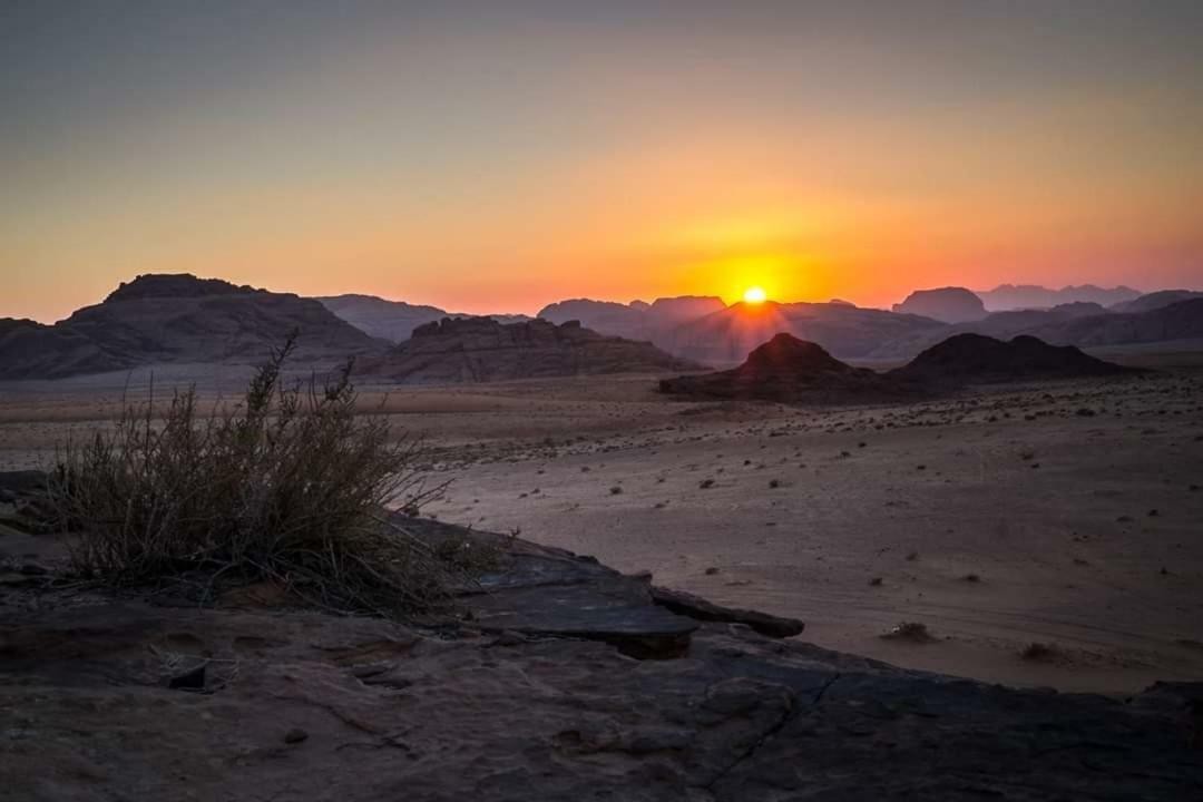 Wadi Rum Moon Camp Exteriör bild