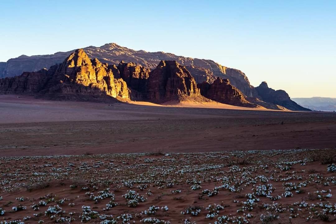 Wadi Rum Moon Camp Exteriör bild